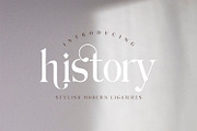 Hilden - stylish modern serif font, a Serif Font by Penatic Studio (Thumbnail 2 of 14)