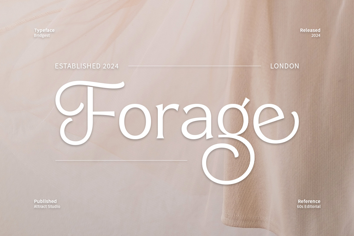 Bridgest, a Serif Font by Attract Studio (Photo 7 of 17)