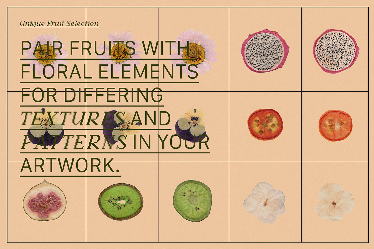 PRESSED BOTANY Floral & Fruit Cutout, an Object Graphic by Desert Poetic (Photo 7 of 10)