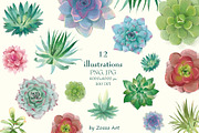 Succulents: 12 images, 6 patterns, an Illustration by Zooza Art (Thumbnail 2 of 9)