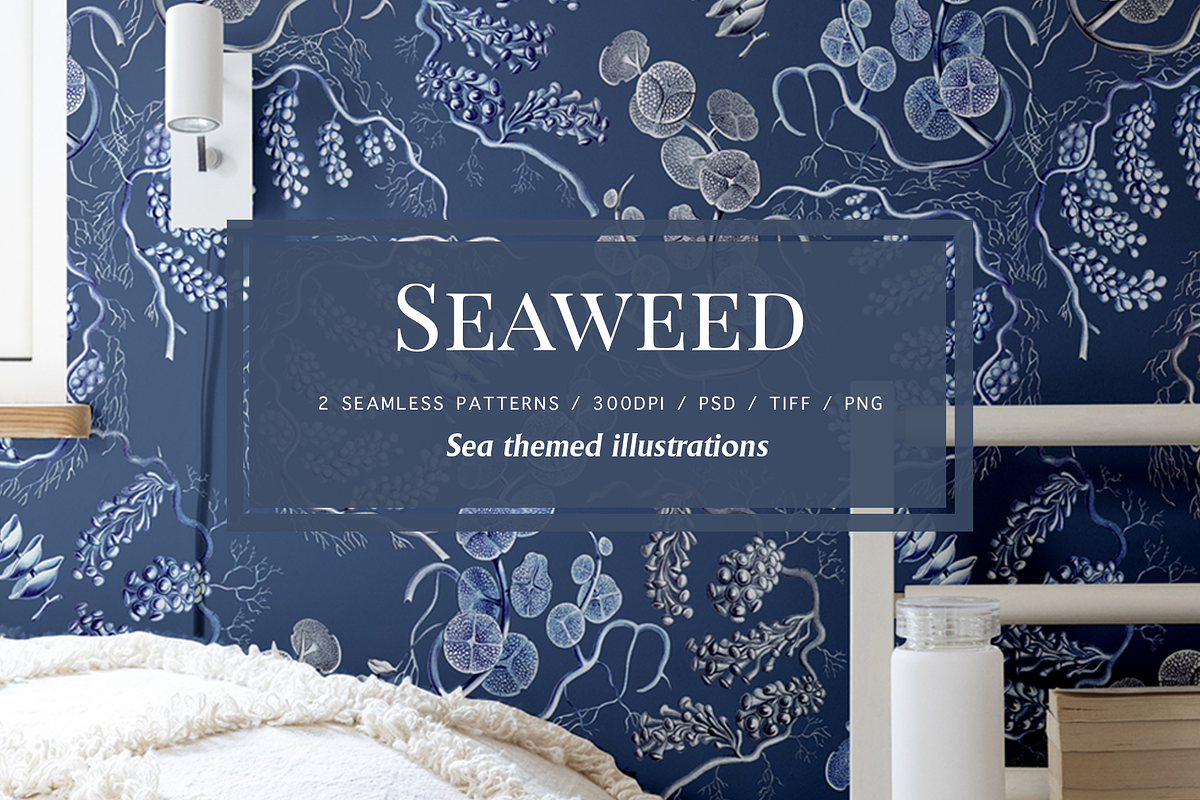 SEAWEED SEAMLESS PATTERNS & OBJECTS, a Decorative Illustration by Splash! (Photo 1 of 8)