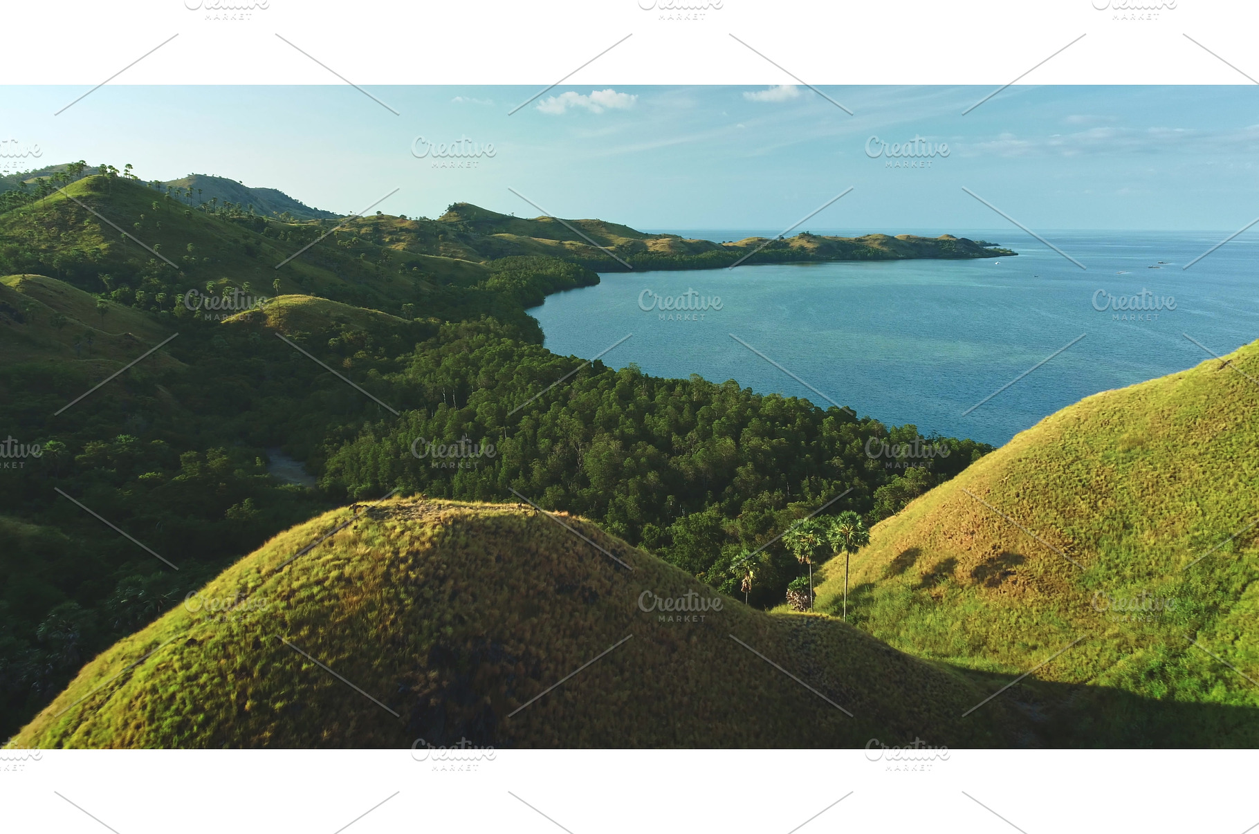 Lush tropical island with rolling, an Animal Photo by Goinyk