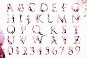 Winter Floral Alphabet Letter, a Decorative Illustration by Cacacolors Clipart (Thumbnail 2 of 6)