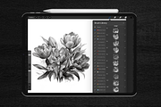 110 + Flowers Stamps for Procreate, a Brushes & More by Torus1 (Thumbnail 5 of 8)