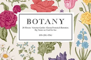 Botany. Victorian Garden. Color