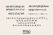 Ginako Ligature Serif Typeface, a Serif Font by yaqublekker (Thumbnail 10 of 10)