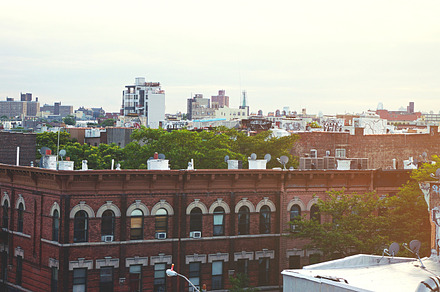 Brooklyn Roofs