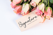 Jasmine | Script Font, a Handwritten Font by Scratchones (Thumbnail 5 of 9)