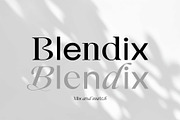 Blendix, a Sans Serif Font by Ryul Davidson (Thumbnail 1 of 16)