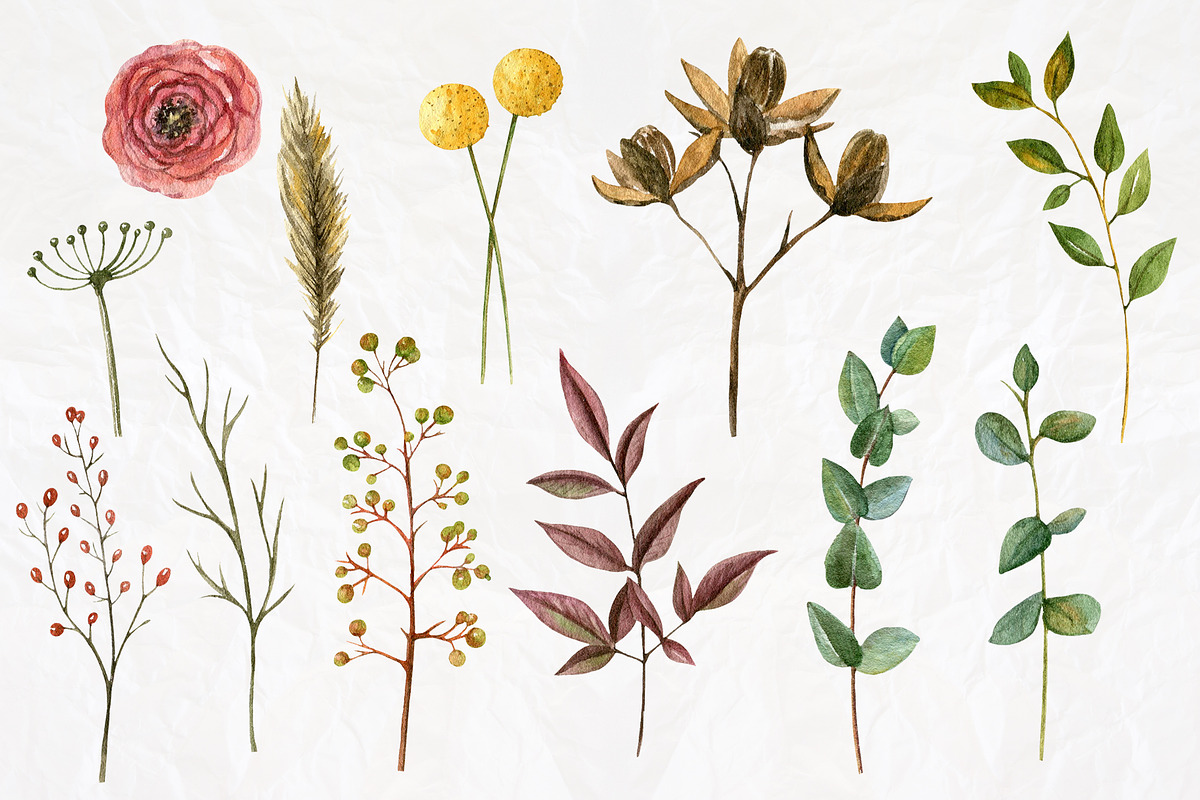 Vintage watercolor set, a Decorative Illustration by Nastilustra (Photo 6 of 10)
