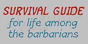 Skagwae, a Sans Serif Font by Ingrimayne Type (Thumbnail 4 of 7)
