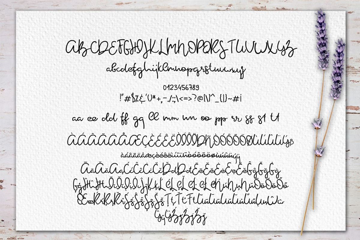 Rosemary & Lavender.Font duo+logos preview 5