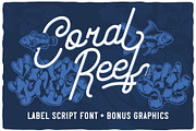 Coral Reef script font, a Script Font by VozzyStock (Thumbnail 1 of 7)