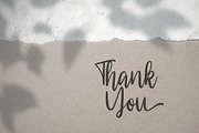 Southiya - Modern Calligraphy Font, a Script Font by StringLabs (Thumbnail 5 of 5)