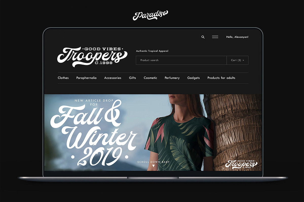 Paradiso Bold Script, a Script Font by ngene (Photo 6 of 11)