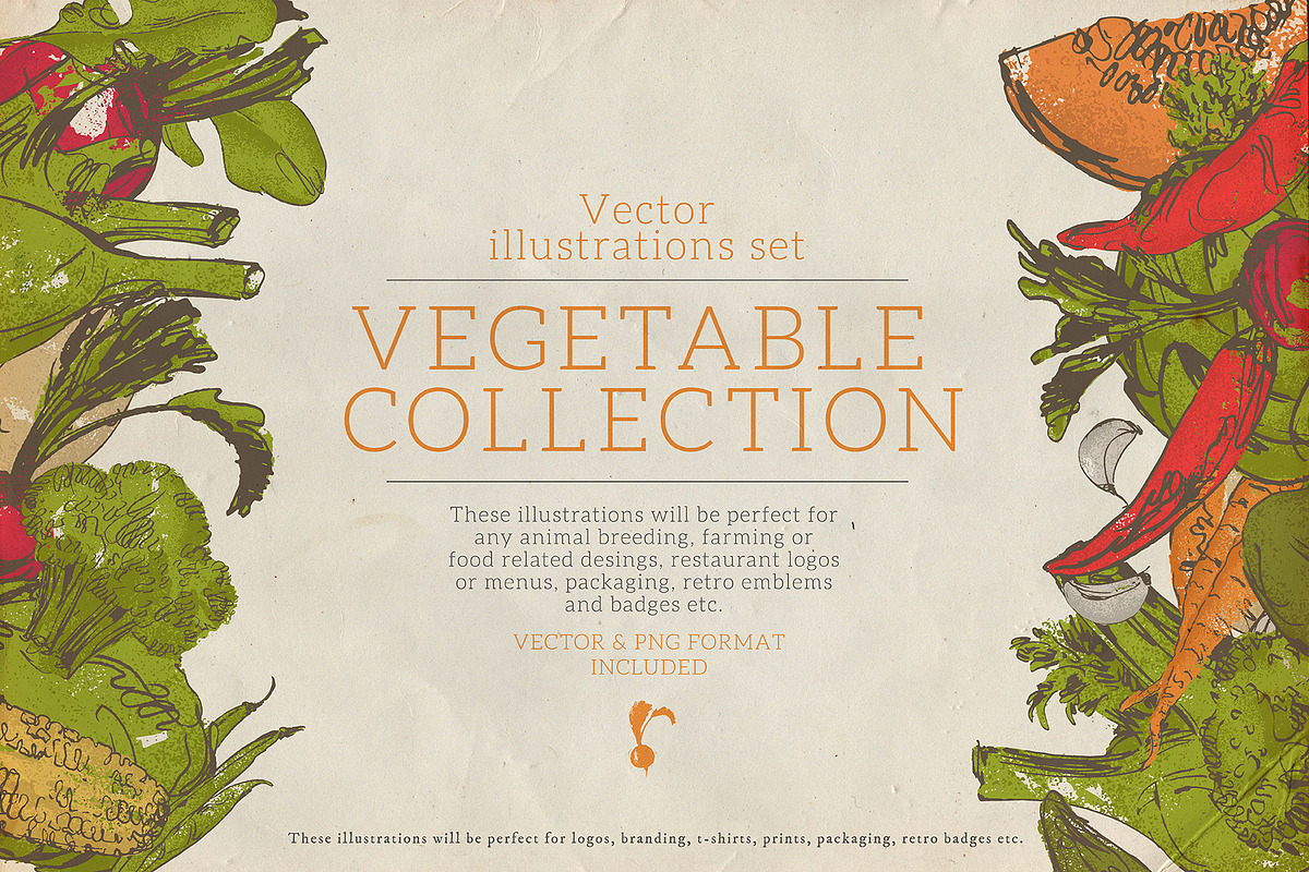 Vegetable collection 1, an Object Graphic by Siosay (Photo 1 of 11)
