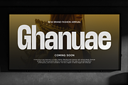 TRT Lancelot Condensed Font Family, a Sans Serif Font by truetype (Thumbnail 13 of 15)