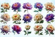 Watercolor Purple and Cream Peonies, an Illustration by Craft Nest (Thumbnail 3 of 4)