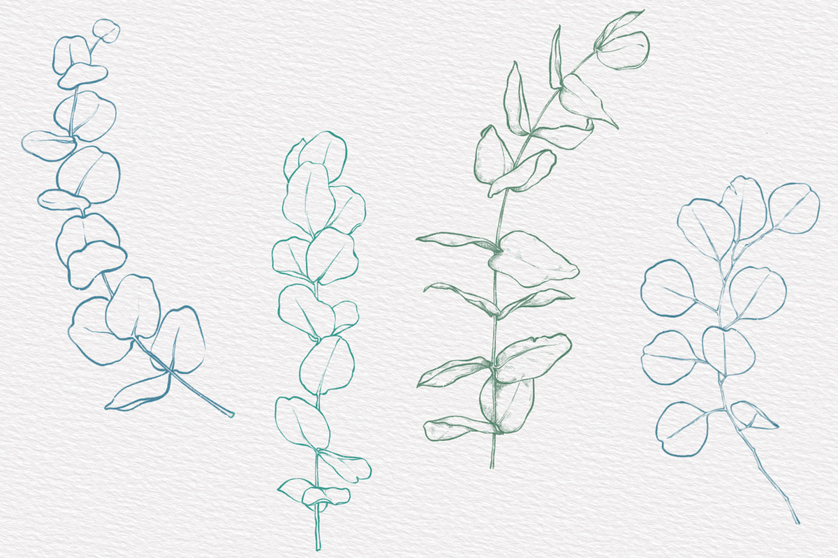 Winter & Christmas Plants,Procreate, a Brush Add-On by Sense Library (Photo 3 of 11)