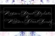 Madison Street Stylistic & Swash, a Script Font by STUDIOWAYS (Thumbnail 1 of 5)