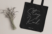Homeland - Handwritten Script Font, a Handwritten Font by Timurtype (Thumbnail 5 of 7)