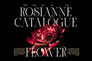 Band Elegant Luxury Serif Font, a Serif Font by Elegant Font (Thumbnail 4 of 8)
