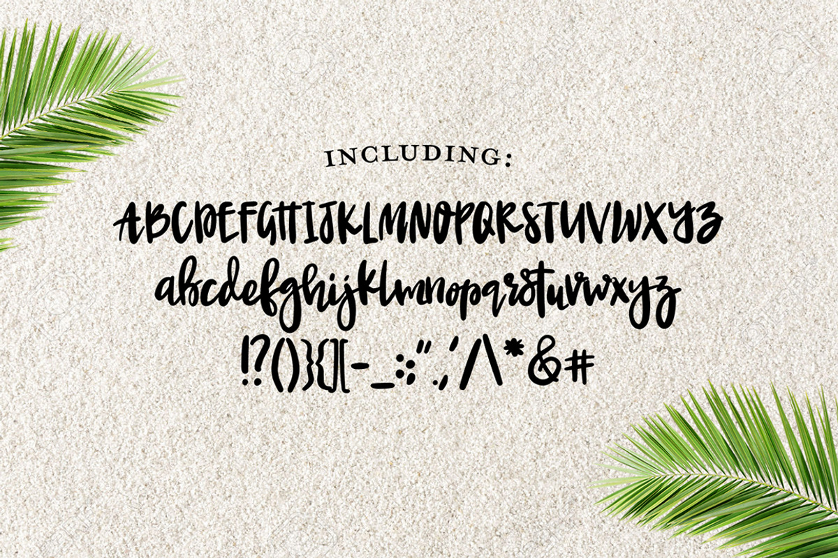 NEWPORT BEACH Brush Script Font preview 5
