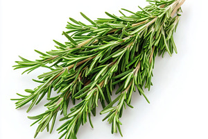 Fresh rosemary herb, isolated on tra, a Food & Drink Photo by Pixeness Studio