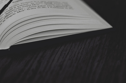 Reading a book stock photo containing reading a book and read preview 6