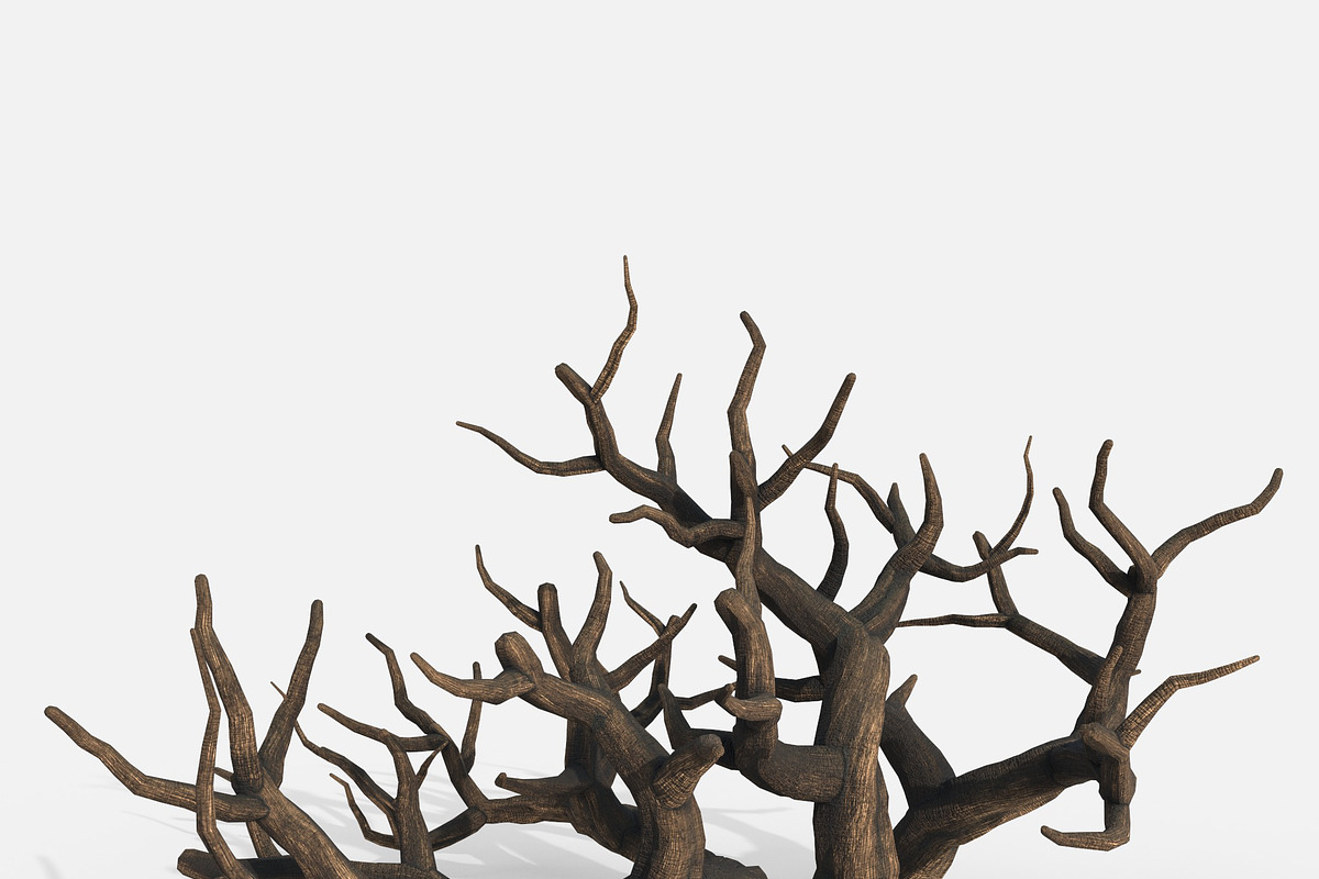 Aquarium Snag Banches V1, an Environmental 3D Model by AndrewWhite (Photo 3 of 8)