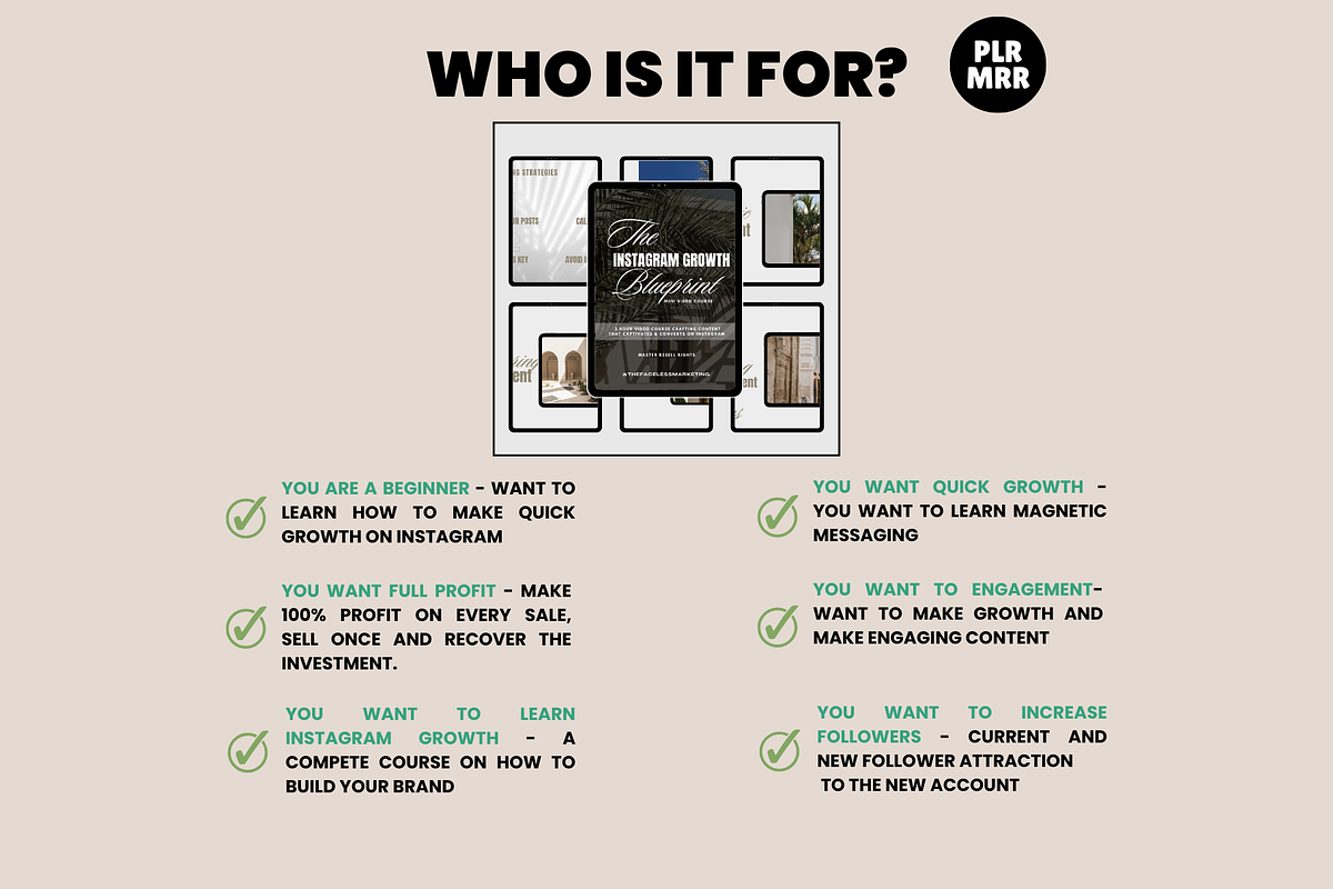 MRR Instagram Growth Course IG PLR, a Social Media Template by Design By Hira (Photo 7 of 9)