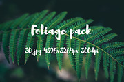 Foliage pack, a Templates & Theme by ApertureVintage (Thumbnail 14 of 21)