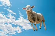 116 Flying animals, an Animal Photo by Handmadefont (Thumbnail 108 of 119)