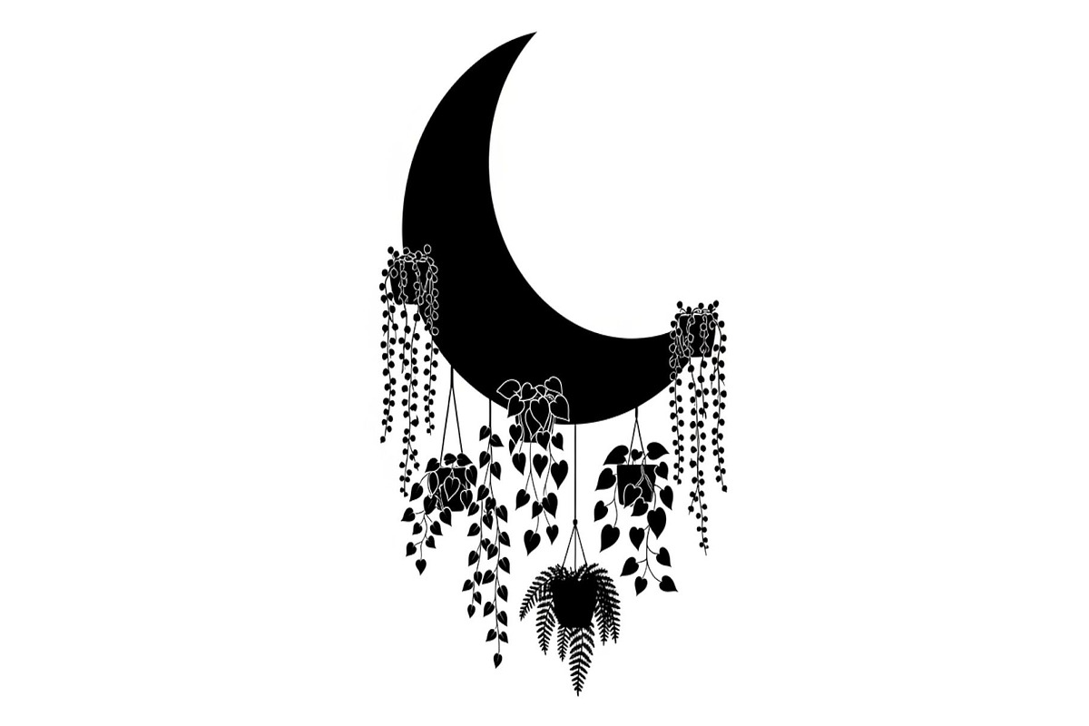 Hanging Moon with Plants Bundle, an Illustration by Designs_River (Photo 5 of 31)