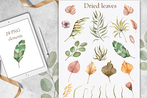 Watercolor Dried Leaves Collection.