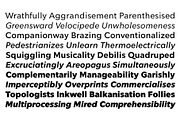Glot Variable, a Sans Serif Font by Wordshape (Thumbnail 5 of 6)
