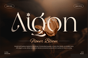 LOOK - Modern Elegant Logo Font, a Serif Font by Sensatype (Thumbnail 6 of 13)