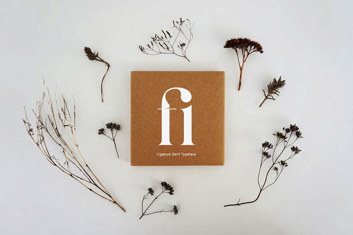 Forgue Modern Serif Typeface, a Serif Font by Dylla_studio (Photo 2 of 14)