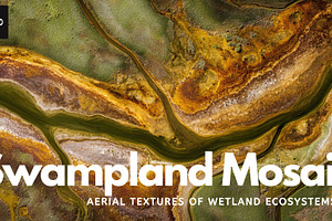 Swampland Mosaic – Aerial Textures, a Nature Photo by Virgo Studio