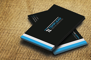 Corporate Business Card SE0258