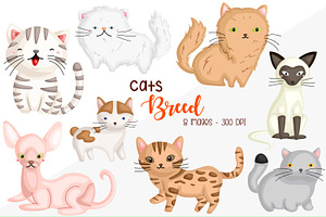 Cat Breed Clipart - Cute Animal, an Animal Illustration by Inkley Studio
