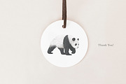 Bear Species Set - Hand-drawn PNGs, an Animal Illustration by LaurenFittonIllustration (Thumbnail 10 of 10)
