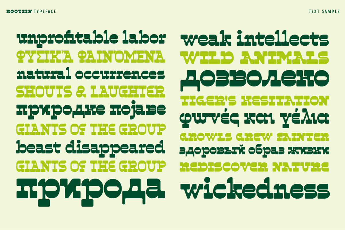 Rootzin, a Slab Serif Font by Typogama (Photo 2 of 15)