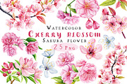 Watercolor Cherry blossom Sakura, an Object Illustration by Hanna Hryharenka (Thumbnail 1 of 8)