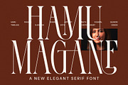 Amonse Ligature Serif Fonts, a Serif Font by Graphicxell (Thumbnail 2 of 8)