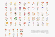 watercolor floral clipart set, a Decorative Illustration by Patishop Art (Thumbnail 9 of 10)