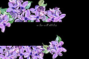 Sale 50% Lilac Blooming Spring, an Illustration by Olga Koelsch (Thumbnail 8 of 9)