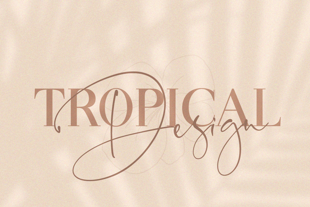 Oliva Serif Font preview 3