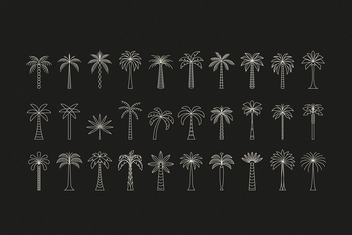 Boho palm logos, a Graphic by karnofff (Photo 4 of 6)