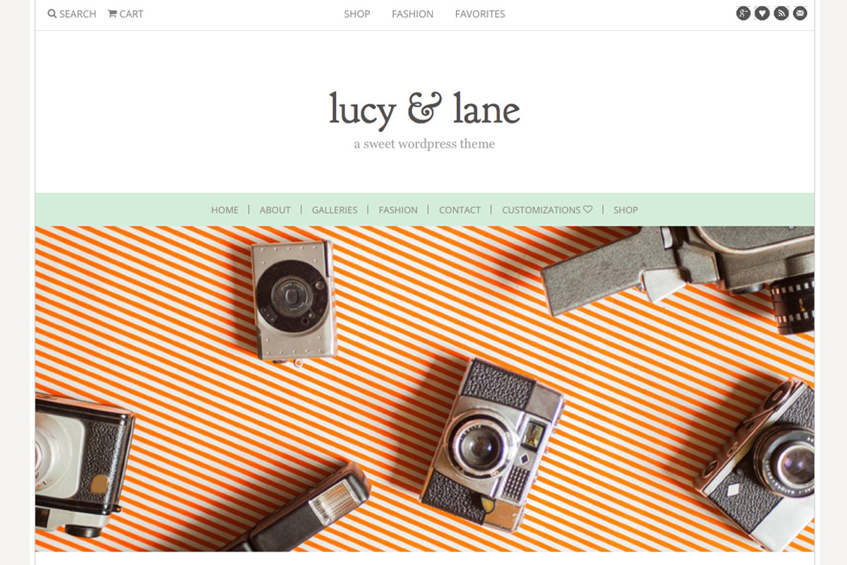 The Lucy & Lane Theme, a WordPress Template by angiemakeswebsites (Photo 1 of 5)